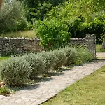 House Natalie, Village Holiday home *
